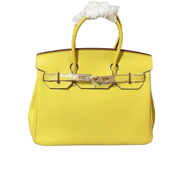 Hermes Birkin 04