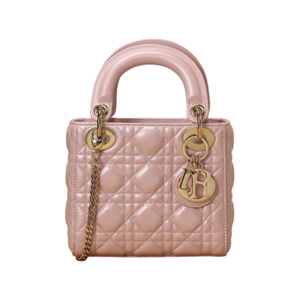 Dior Lady