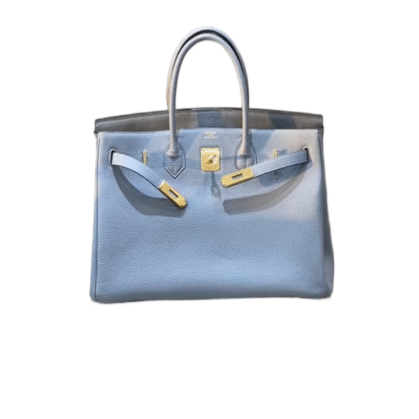 Hermes Birkin 03