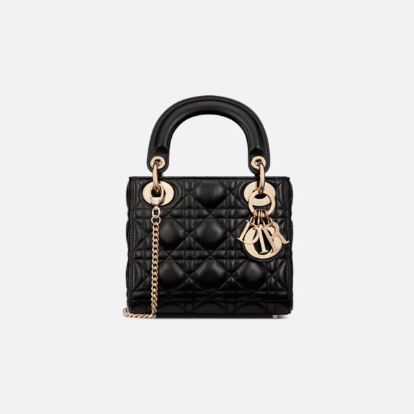 Dior Lady